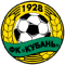 Team Logo