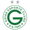 Team Logo