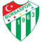 Team Logo